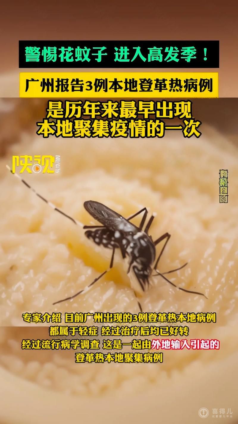 登革热.jpg